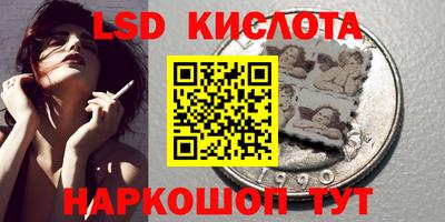 прущие крисы Камышлов
