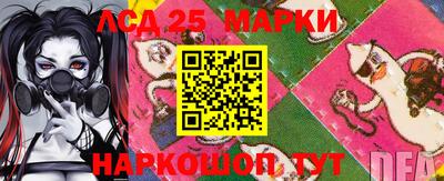 прущие грибы Кандалакша