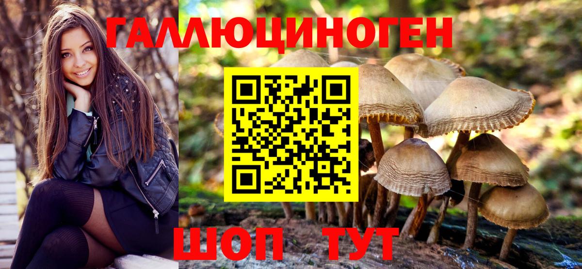 Псилоцибиновые грибы Psilocybine cubensis Лыткарино