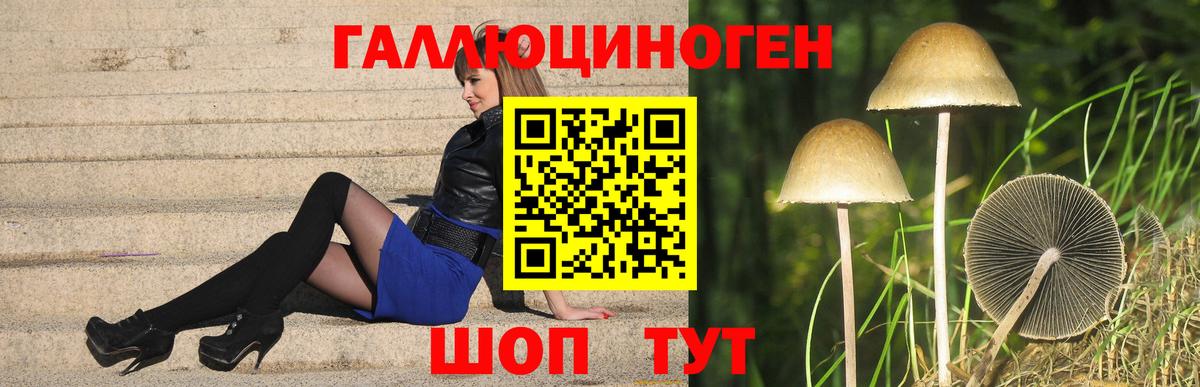 Псилоцибиновые грибы Magic Shrooms  Вход с VPN  Псилоцибиновые грибы Psilocybe  цена   Лыткарино 
